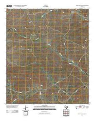 Circle Dot Ranch Texas Historical topographic map, 1:24000 scale, 7.5 X 7.5 Minute, Year 2010
