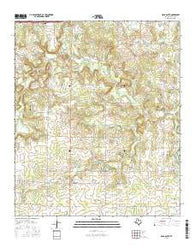 Cisco South Texas Current topographic map, 1:24000 scale, 7.5 X 7.5 Minute, Year 2016