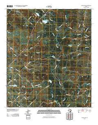 Clear Lake Texas Historical topographic map, 1:24000 scale, 7.5 X 7.5 Minute, Year 2010