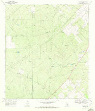 Clegg NE Texas Historical topographic map, 1:24000 scale, 7.5 X 7.5 Minute, Year 1969