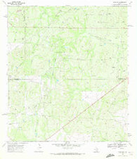 Clegg SW Texas Historical topographic map, 1:24000 scale, 7.5 X 7.5 Minute, Year 1969
