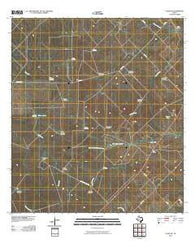 Clegg NE Texas Historical topographic map, 1:24000 scale, 7.5 X 7.5 Minute, Year 2010