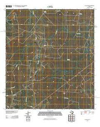 Clegg SW Texas Historical topographic map, 1:24000 scale, 7.5 X 7.5 Minute, Year 2010