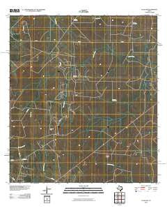 Clegg SW Texas Historical topographic map, 1:24000 scale, 7.5 X 7.5 Minute, Year 2010