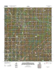 Clegg SW Texas Historical topographic map, 1:24000 scale, 7.5 X 7.5 Minute, Year 2012
