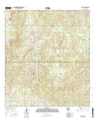 Clegg SW Texas Current topographic map, 1:24000 scale, 7.5 X 7.5 Minute, Year 2016