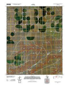 Coldwater Creek Texas Historical topographic map, 1:24000 scale, 7.5 X 7.5 Minute, Year 2010