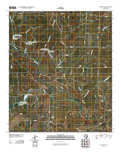 Coleman NE Texas Historical topographic map, 1:24000 scale, 7.5 X 7.5 Minute, Year 2010