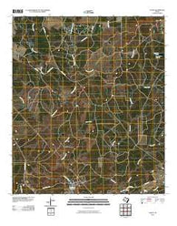 Colita Texas Historical topographic map, 1:24000 scale, 7.5 X 7.5 Minute, Year 2010