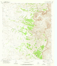Collier Mesa Texas Historical topographic map, 1:24000 scale, 7.5 X 7.5 Minute, Year 1973
