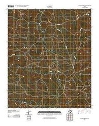 Collins Creek SW Texas Historical topographic map, 1:24000 scale, 7.5 X 7.5 Minute, Year 2010