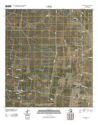 Concepcion Texas Historical topographic map, 1:24000 scale, 7.5 X 7.5 Minute, Year 2010