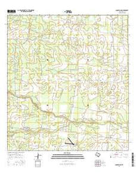 Concepcion Texas Current topographic map, 1:24000 scale, 7.5 X 7.5 Minute, Year 2016