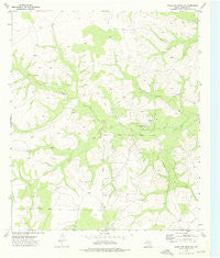 Coon Dive Draw NW Texas Historical topographic map, 1:24000 scale, 7.5 X 7.5 Minute, Year 1973