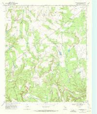 Coon Hollow Texas Historical topographic map, 1:24000 scale, 7.5 X 7.5 Minute, Year 1968
