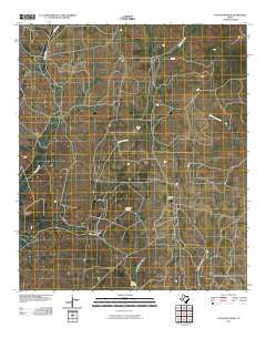 Coon Dive Draw Texas Historical topographic map, 1:24000 scale, 7.5 X 7.5 Minute, Year 2010