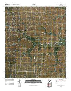 Coon Dive Draw NW Texas Historical topographic map, 1:24000 scale, 7.5 X 7.5 Minute, Year 2010