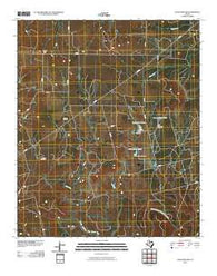 Coon Hollow Texas Historical topographic map, 1:24000 scale, 7.5 X 7.5 Minute, Year 2010