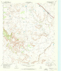 Cooper Creek Texas Historical topographic map, 1:24000 scale, 7.5 X 7.5 Minute, Year 1969