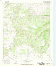 Cope Branch Texas Historical topographic map, 1:24000 scale, 7.5 X 7.5 Minute, Year 1966
