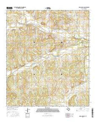 Coralina Ranch Texas Current topographic map, 1:24000 scale, 7.5 X 7.5 Minute, Year 2016