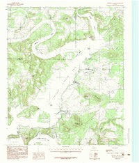 Costello Island Texas Historical topographic map, 1:24000 scale, 7.5 X 7.5 Minute, Year 1984
