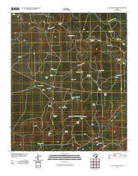 Cottonwood Creek Texas Historical topographic map, 1:24000 scale, 7.5 X 7.5 Minute, Year 2010