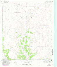 Coupe Ranch Texas Historical topographic map, 1:24000 scale, 7.5 X 7.5 Minute, Year 1964