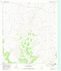Coupe Ranch Texas Historical topographic map, 1:24000 scale, 7.5 X 7.5 Minute, Year 1964