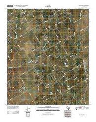 Covington Texas Historical topographic map, 1:24000 scale, 7.5 X 7.5 Minute, Year 2010