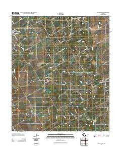 Covington Texas Historical topographic map, 1:24000 scale, 7.5 X 7.5 Minute, Year 2012