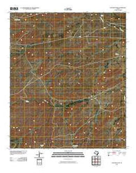 Cow Mountain Texas Historical topographic map, 1:24000 scale, 7.5 X 7.5 Minute, Year 2010