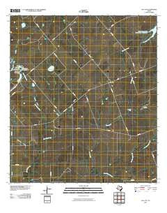 Coy City Texas Historical topographic map, 1:24000 scale, 7.5 X 7.5 Minute, Year 2010
