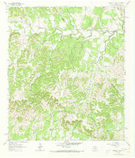 Crabapple Creek Texas Historical topographic map, 1:24000 scale, 7.5 X 7.5 Minute, Year 1963