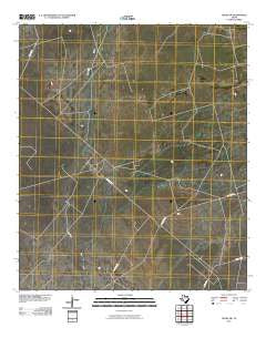 Crane SW Texas Historical topographic map, 1:24000 scale, 7.5 X 7.5 Minute, Year 2010