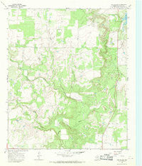 Cub Hollow Texas Historical topographic map, 1:24000 scale, 7.5 X 7.5 Minute, Year 1966