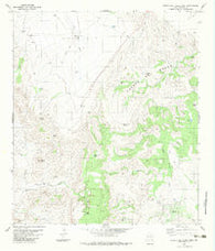 Cuesta Del Burro West Texas Historical topographic map, 1:24000 scale, 7.5 X 7.5 Minute, Year 1983