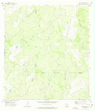 Cuevitas SW Texas Historical topographic map, 1:24000 scale, 7.5 X 7.5 Minute, Year 1972