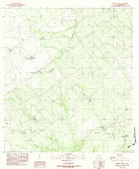 Dabney Tank Texas Historical topographic map, 1:24000 scale, 7.5 X 7.5 Minute, Year 1982