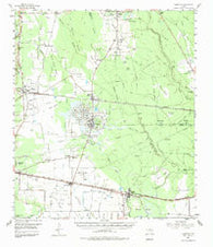 Daisetta Texas Historical topographic map, 1:62500 scale, 15 X 15 Minute, Year 1955