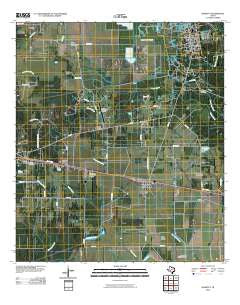 Daisetta Texas Historical topographic map, 1:24000 scale, 7.5 X 7.5 Minute, Year 2010