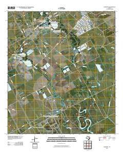 Danbury Texas Historical topographic map, 1:24000 scale, 7.5 X 7.5 Minute, Year 2010