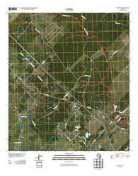 Danciger Texas Historical topographic map, 1:24000 scale, 7.5 X 7.5 Minute, Year 2010