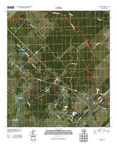 Danciger Texas Historical topographic map, 1:24000 scale, 7.5 X 7.5 Minute, Year 2010
