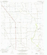 Danevang Texas Historical topographic map, 1:24000 scale, 7.5 X 7.5 Minute, Year 1951