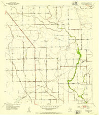 Danevang Texas Historical topographic map, 1:24000 scale, 7.5 X 7.5 Minute, Year 1951