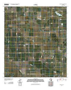 Danevang Texas Historical topographic map, 1:24000 scale, 7.5 X 7.5 Minute, Year 2010