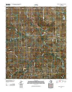 Darnell Branch Texas Historical topographic map, 1:24000 scale, 7.5 X 7.5 Minute, Year 2010