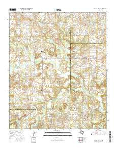 Darnell Branch Texas Current topographic map, 1:24000 scale, 7.5 X 7.5 Minute, Year 2016