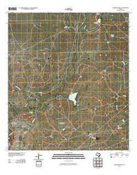 Deadmans Hill Texas Historical topographic map, 1:24000 scale, 7.5 X 7.5 Minute, Year 2010